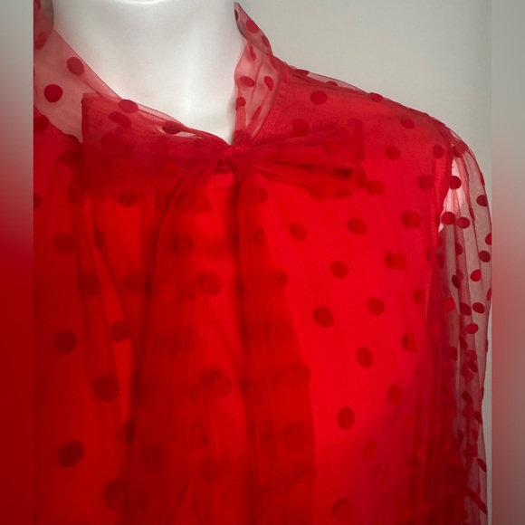 First Love Red Sheer Polka Dot Blouse - Picture 3 of 8